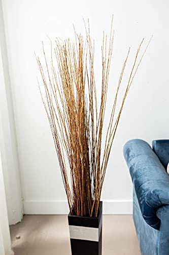 Green Floral Craft | Dried Asian Willow Decorative Branches - Perfect Home Decoration And Floor Vase Filler (4-5 Feet, Natural) #TOP3