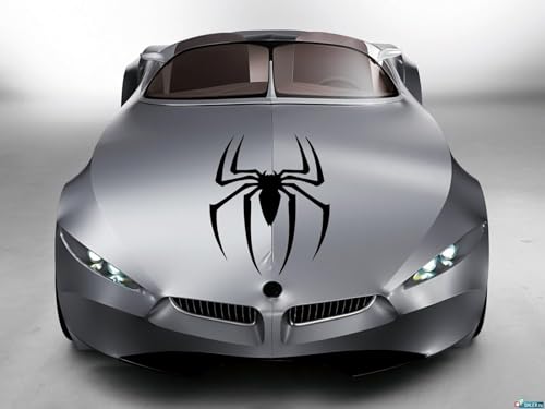 Car Hood Vinyl Sticker Decal Graphics Super Hero Web Famous Spider SL71 (17x23)