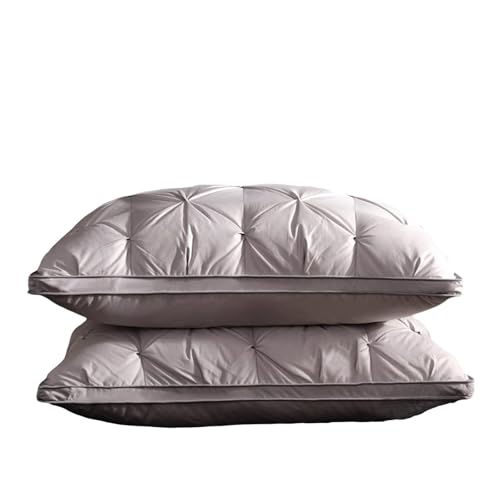 Set 2 Almohadas de plumón y plumas tamaño estándar