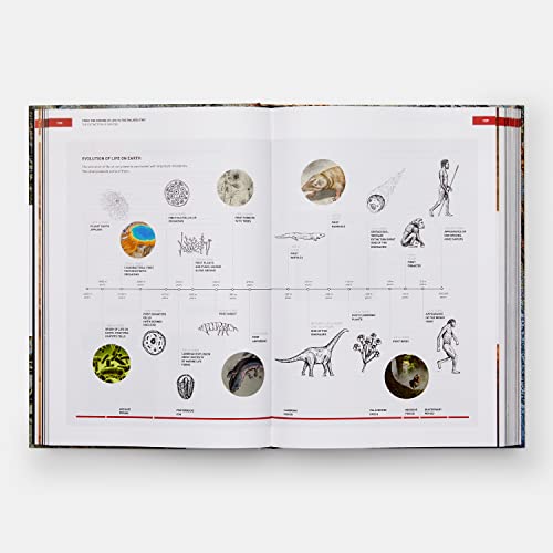 The Origins of Cooking: Palaeolithic and Neolithic Cooking