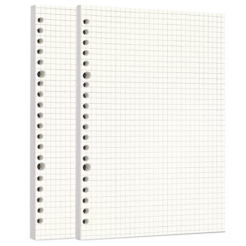 Image of Zelten Loose Leaf Punched Paper Refills Paper for 6 Hole Binder Personal Organizer Diary Notebook Refillable Planner (Squared,A5 /20 Hole)