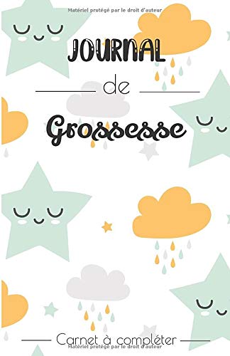 Télécharger Journal de Grossesse - Carnet à compléter: 9 mois de suivi pour attendre Bébé - des mandalas ent Livre eBook France