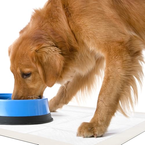 OUT! Ultimate Pro-Grip Dog and Puppy Pads, Regular - 50-Count