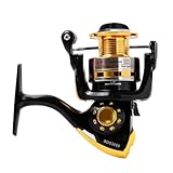 Diwa Spinning Fishing Reels for Saltwater Freshwater 1000 2000 3000 4000 5000 6000 Series Left/Right Interchangeable Trout Spinning Reel Carp Fishing Spool 10 Ball Bearings Light and Smooth - Image 3