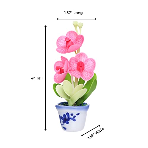 Imanes decorativos 3D flores orquídeas Vanda set 2 miniatura 3
