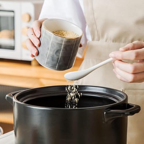 Cukiernica z ceramiczną łyżką - 300 ml porcelanowa sól świnia i pojemnik na cukier - stylowe akcesoria kuchenne