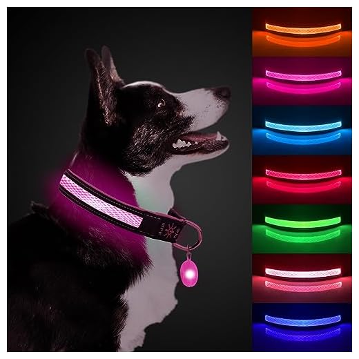 ETACCU Collar de Perro LED, Collar de Perros Ajustable con 3 Modos y 7 Colores, Collar Luminoso Impermeable Recargable por USB, Collares Básicos para Mascotas (Pequeño (30-45cm), Rosa)