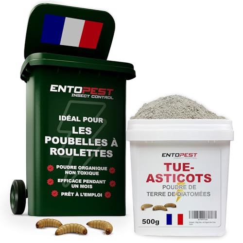 ENTOPEST - 500g de Terre de Diatomée en poudre - Destructeur de fourmis, de puces, d'insectes, de punaises de lit, de lépismes, d'insectes rampants, nuisibles et non-toxiques