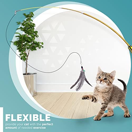 FurDreams Cat Wand Interactive Cat Toy | Retractable Cat Wand Toys for Indoor Cats | Cat Feather Wand Fishing Rod Cat Toy w/ 8 Colourful Bird Feathers & 2 Extra Hooks for Fun Play, Exercise, Activity