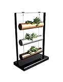 SOMMERLAND Vertical Garden Planting Cylinder Display System for Succulent Cactus and Small Plants, Metal Base