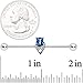 Body Candy Women 14G Steel Helix Cartilage Earring Blue Accent Fashion Industrial Project Barbell 1 1/2