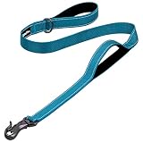 PetiFine 4FT Heavy Duty Dog Leash with Soft Padded Double Handle, Durable Strong Clasp Dog Leashes,