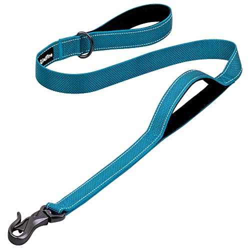 Petifine 4Ft Heavy Duty Dog Leash With Soft Padded Double Handle, Durable Strong Clasp Dog Leashes, Reflective Nylon Walking Lead For Large,Medium,Small Breed Dogs, Blue #TOP4