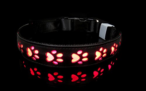 KSWLLO LED Dog Collar PU Leather with Metal Bucket USB Rechargeable Black Green