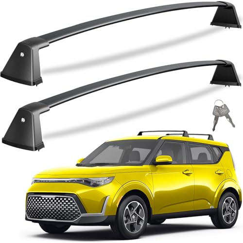 Tuyoung 220lbs Lockable Roof Rack Cross Bars