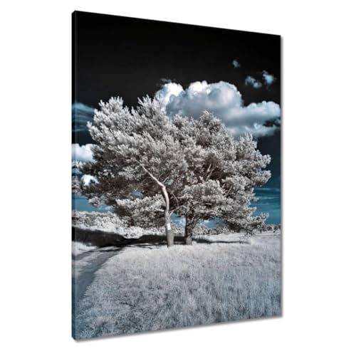 Peinture imprimée sur toile 60x80 décoration murale Sapling premium