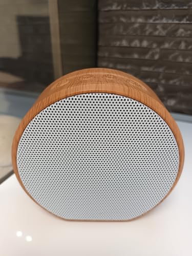 CHEMIN'ARTE Módulo de Llama crepitante para chimeneas eléctricas