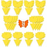 24PCS Fruit Fly Sticky Traps, Fungus Gnat Traps Insect Trap for Plants Kitchen Indoor and Outdoor（24 Light Yellow）