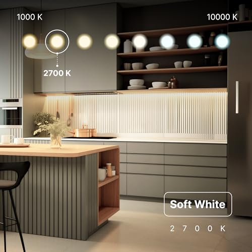 Image of Xtricity Compact Fluorescent GU24 2 Prong Light Bulb Base, T2 Mini Spiral, 13W (60 Watt Equivalent), 2700k Soft White, 900 Lumens, CFL, 120V, UL Listed (1 Pack)