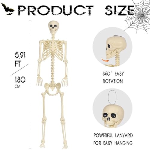 Squelette Halloween figurine articulée réaliste déco extérieur - 5