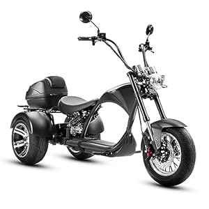 eAhora M1P Electric Trike for Adults, 2000W Brushless Motor eAhora M1P Electric Trike for Adults, 2000W Brushless Motor