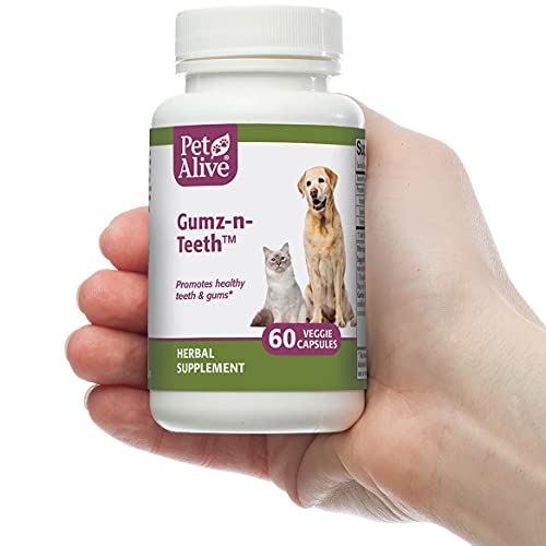 Petalive Gumz-N-Teeth - All Natural Herbal Supplement For Healthy Teeth And Gums In Cats And Dogs - Supports Oral Health In Pets - 60 Veggie Caps #TOP3