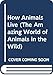 How Animals Live (The Amazing World of Animals in the Wild)