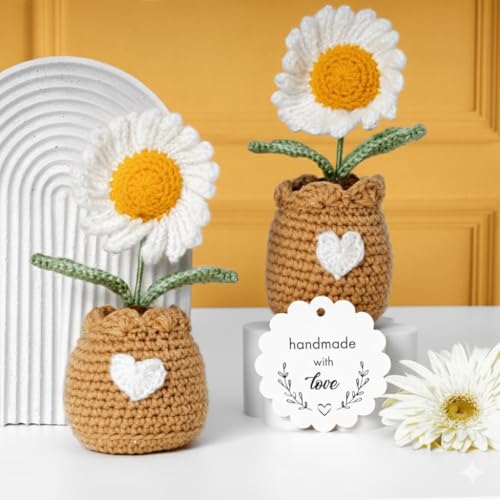 Image of Rarejoy Gift Combo for Men and Women - Luxury Handcrafted gift combo Includes Crochet Daisy Flower Pot & Daisy Diary - Perfect for Valentine, Anniversary, Birthday & Special Occasions