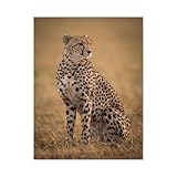 1.Kit de peinture au diamant et spécifications: cette toile à motifs, perles en résine et strass, toile autocollante, bac en plastique et stylo à bille, colle à percer. La spécification est de 30cm × 40cm. (Remarque: les cadres ne sont pas inclus).