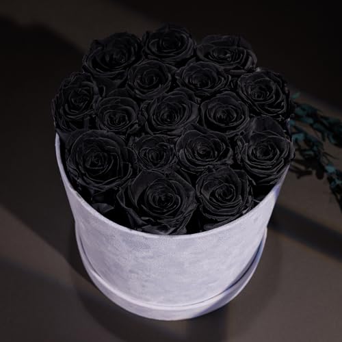 17 Flowers in a Luxury Suede Box, Birthday Gifts for Women, Preserved Flowers, Mothers Day Roses Gift for Mom, Black