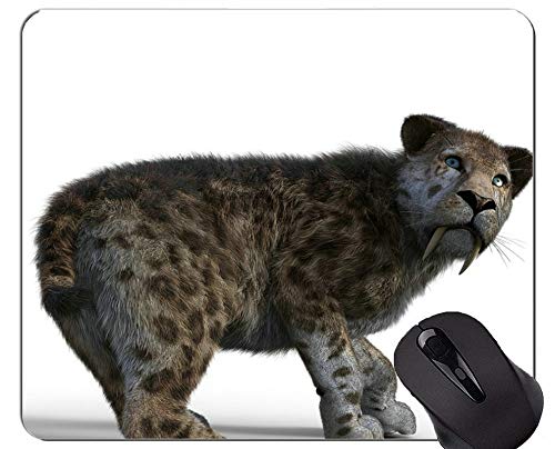 N[uCg^CK[}EXpbhAZCo[t^CK[o[}EXpbh