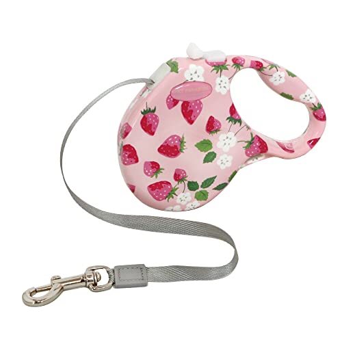 ybgp_CX  [h  Lk[h bN 3 