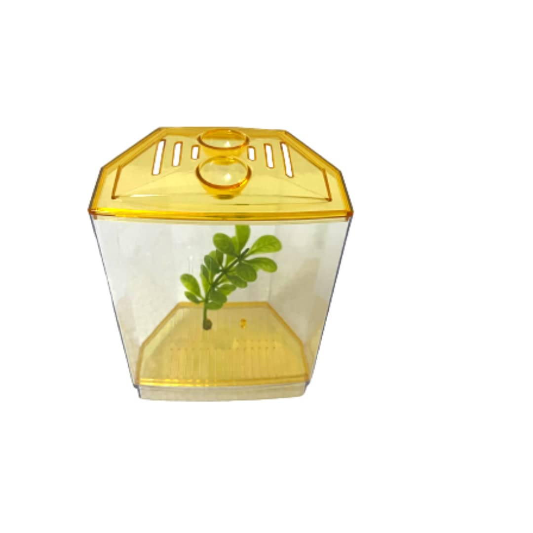 KSH Store- Single beta House Fish Tank Aquarium Isolation Box for Fighter Fish, Guppy Size(14 cm x 7 cm x 11 cm) (Betta House Single) Colour May Vary 4