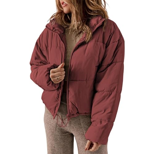 ZYKEJJDDAK Abrigos de invierno para mujer, chaquetas de manga larga con cremallera, cuello alto, bolsillos, holgadas, cortas y cálidas, chaquetas acolchadas