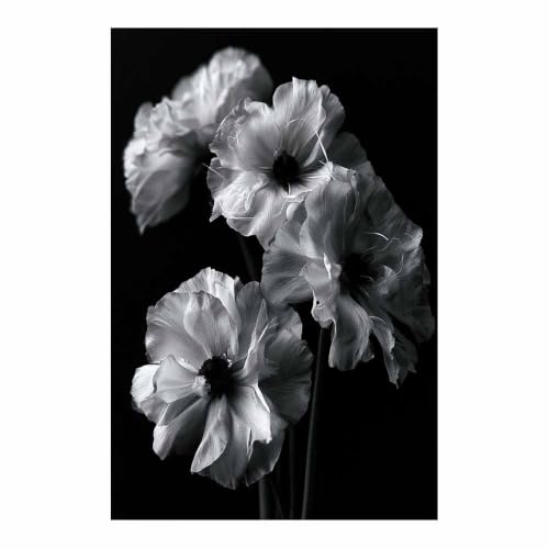 Fleurs de coquelicot monochromes pour decorer un mur vide de bureau ou de salle de bain