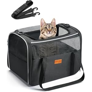 Morpilot Cat Carrier Soft – Portable Pet Carrier for Small or Medium Cats, Dogs and Puppy up to 14lbs, Airline Approved Dog Carrier with Safety Buckle – 16.0 x 10.4 x 11.2 Inch (Dark Gray)