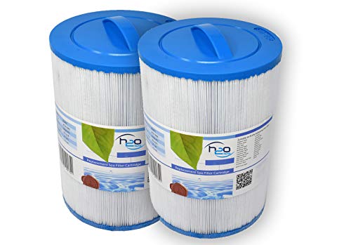 Darlly Confezione da 2 filtri Spa (60401 / 6CH-940 / PWW50 / FC-0359)