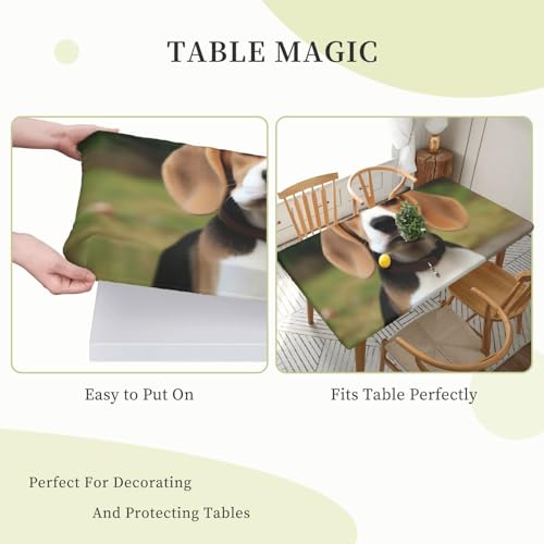 Nappe de table imperméable anti-tache et ajustée pour décoration de buffet - 5
