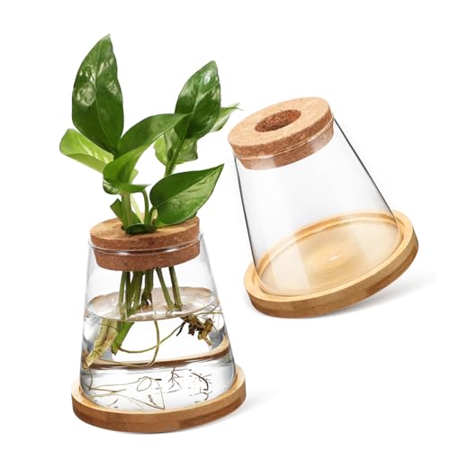 Happyyami 2個 水耕栽培用ガラスプランター 透明テーパー型植物鉢 高透明 インテリア装飾用観葉植物ポット 水栽培適応