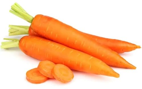 Bundle: Vegetable Seeds for Planting: Danvers Carrot Seeds + Wooden Crepe Spreader