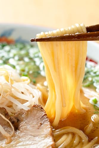 福山食品 訳あり 業務用 生ラーメン 150g 5食×4袋 計3kg とんこつ 2種類 各10袋付 [入金確認後、2ヶ月以内の発送]