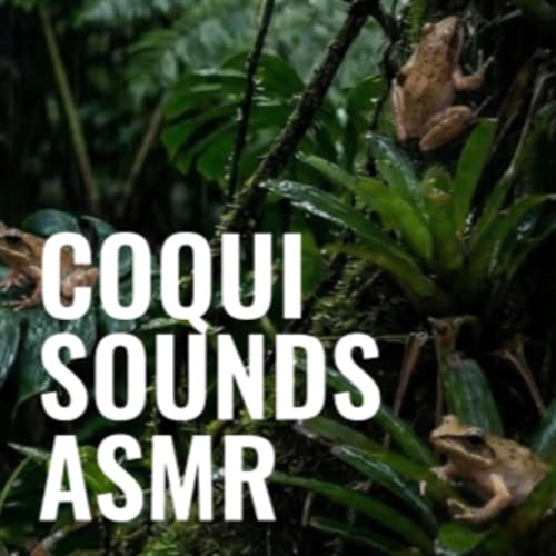 『Coqui Sounds | ASMR』のカバーアート