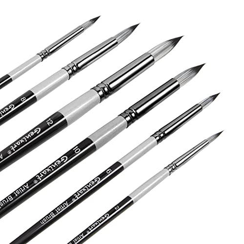 Round Pointed Tip Paintbrushes Set (6 Pcs)