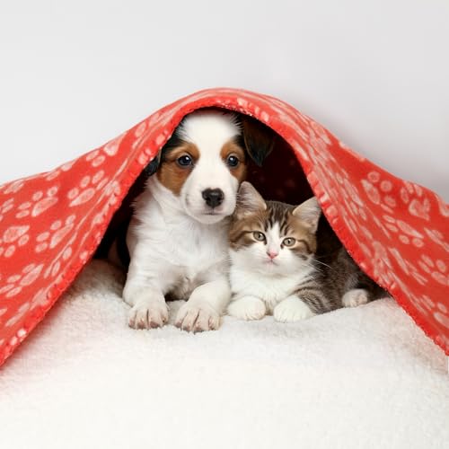 CAI TENG 3 Pack Pet Blankets for Small Dogs Dog Blanket Cat 21x30 Inch Soft Pet Fleece Blanket Warm Puppy Essentials for Bed Cute Paw Printed Throw Dog Red by CAI TENG - Used condition - Image 7