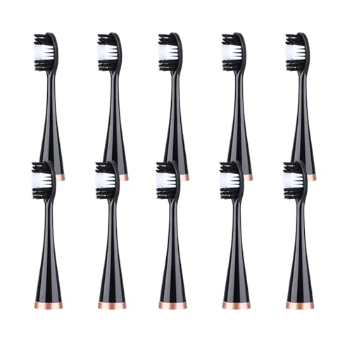 �����g�d�����u���V�w�b�h�����p�u���V10����A���̃z���C�g�j���O�ɑΉ�(Black)