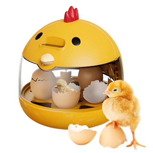 Sucritude Egg Incubator for Kids – Portable and Educational Sucritude Egg Incubator for Kids – Portable and Educational