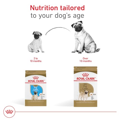 ROYAL CANIN Breed Health Nutrition Pug Adult Dry Dog Food, 10-Pound by Royal Canin