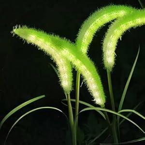 New Upgraded Setaria Viridis Solar Lights Outdoor Waterproof, Solar Lights for Garden Patio Yard Decor (White 2 Light)