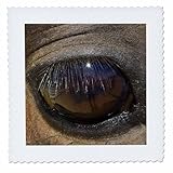 Square dimensions (in inches): 16 L x 16 W, image dimensions (in inches): 14 L x 14 W 100% poloyester; image is soft to touch. Made in USA Edges have pinking shear cut Image will not fade with washing. Image not a transfer, part of material