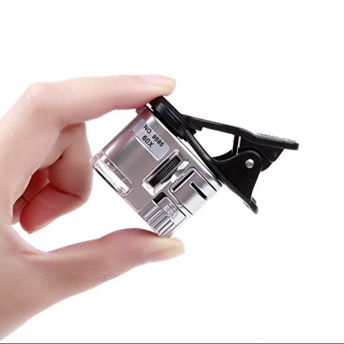 Preisvergleich Produktbild CKAWM Halskette Die Schwarze Seilkette Halskette Armband Natürliche Muschelschale Halskette Halskette Shell Armband Summer Beach Geschenk